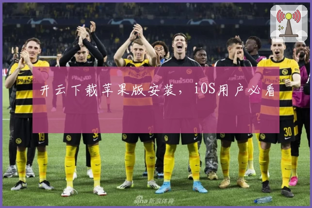 开云下载苹果版安装，iOS用户必看