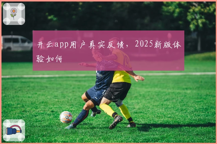 开云app用户真实反馈，2025新版体验如何