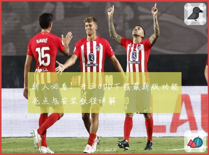 新人必看！开云app下载最新版功能亮点与安装教程详解