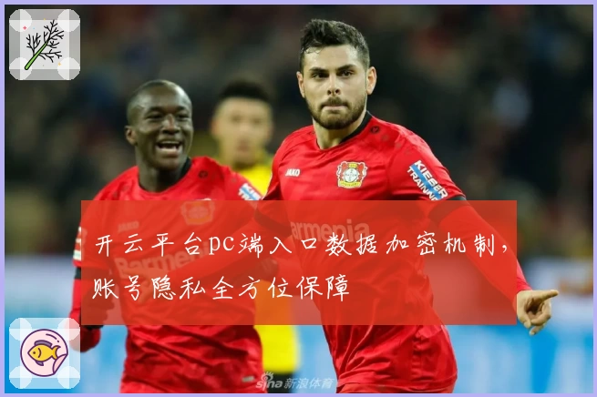 开云平台pc端入口数据加密机制，账号隐私全方位保障